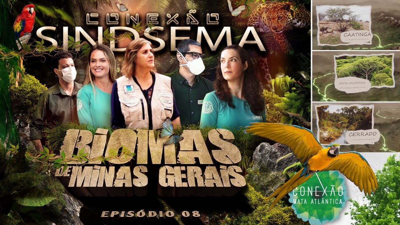 BIOMAS DE MINAS GERAIS - CONEXÃO SINDSEMA EP 08