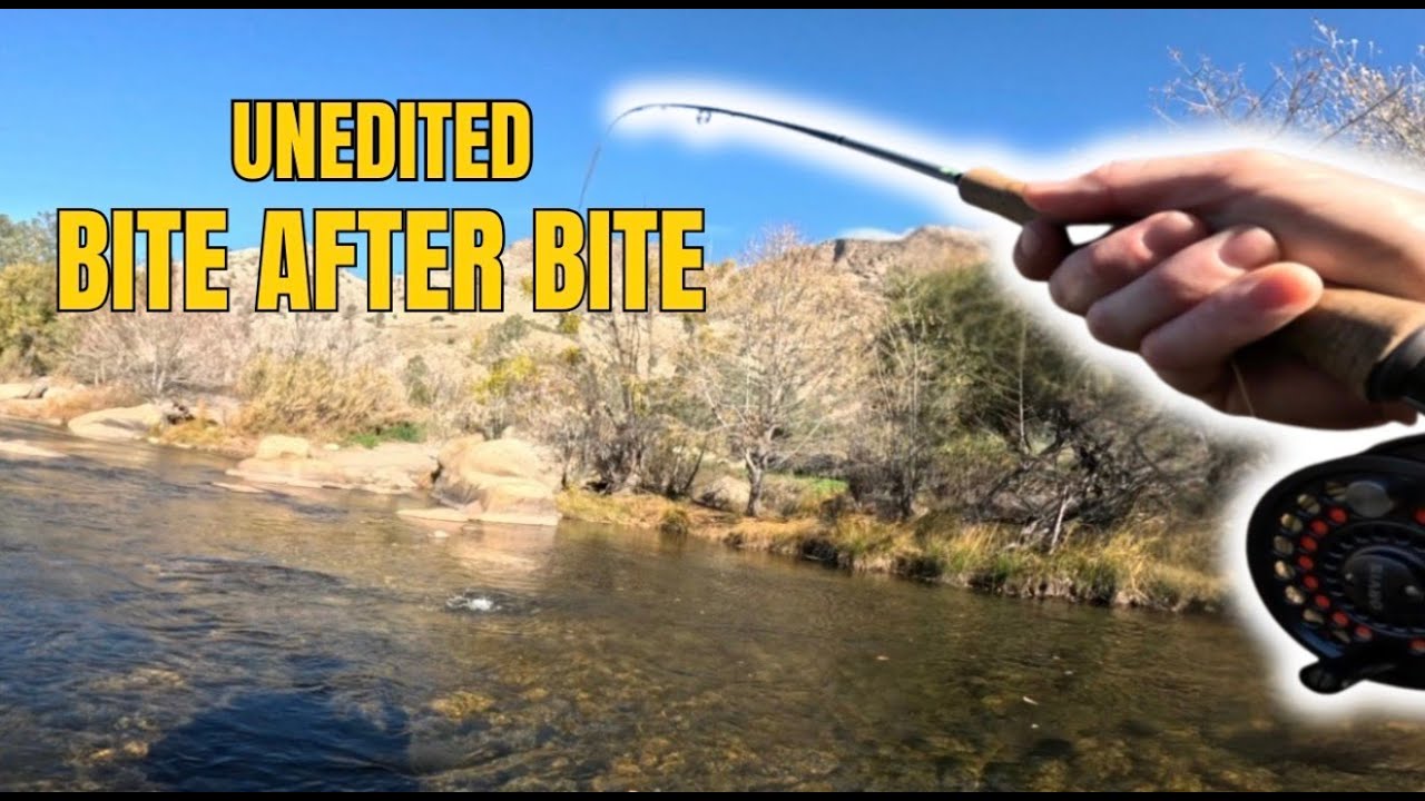 I turned the camera on and the fish wouldn’t stop