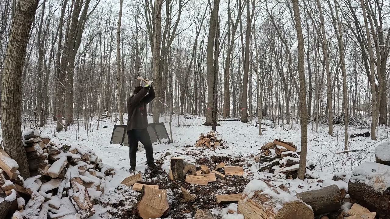 Daily Firewood: day 27.