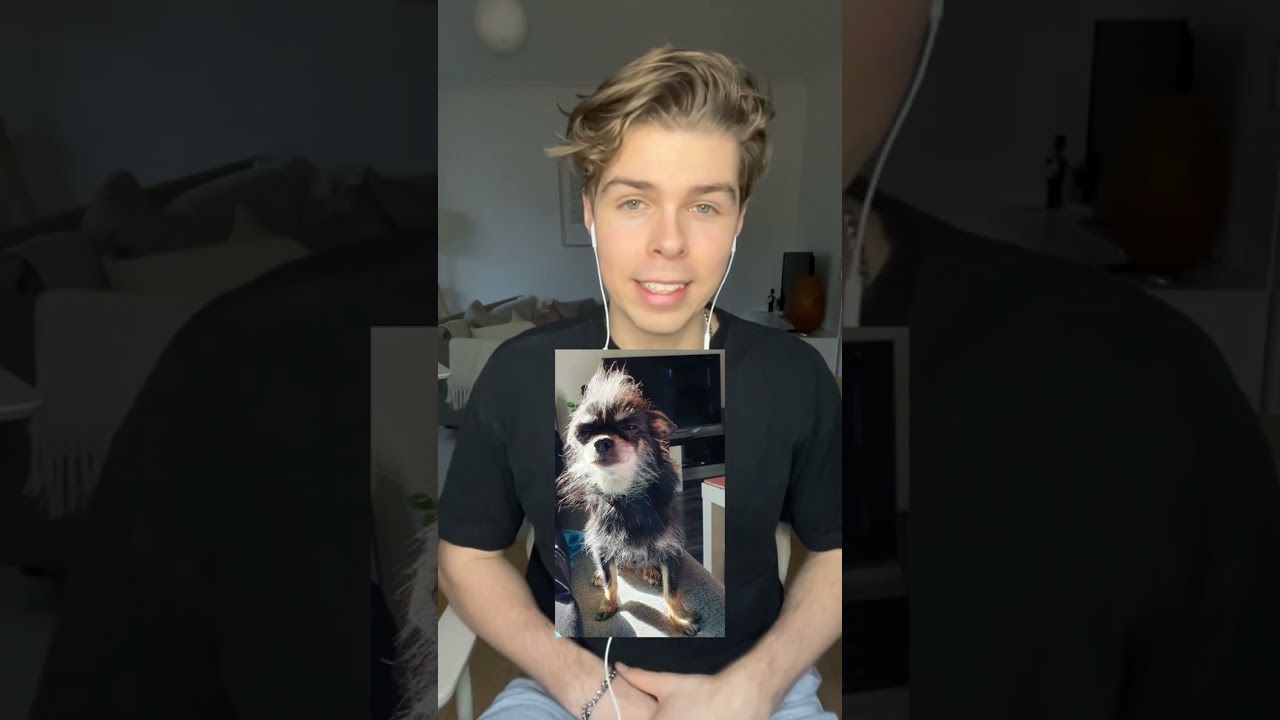 rankar mina f&ouml;ljares husdjur
