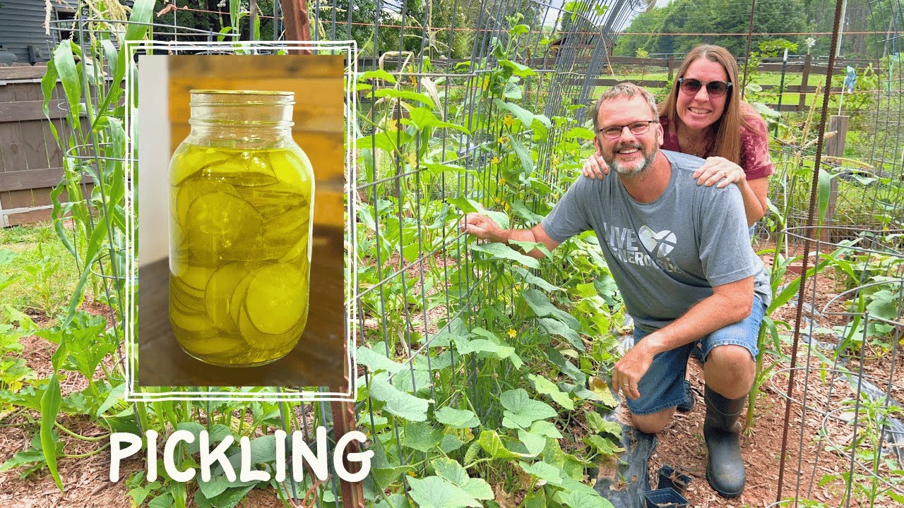 The Easiest Way to Can Pickles From Your Summer Garden!