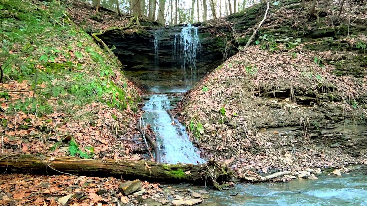Grindstone Run Mcconnell's Mill SP 