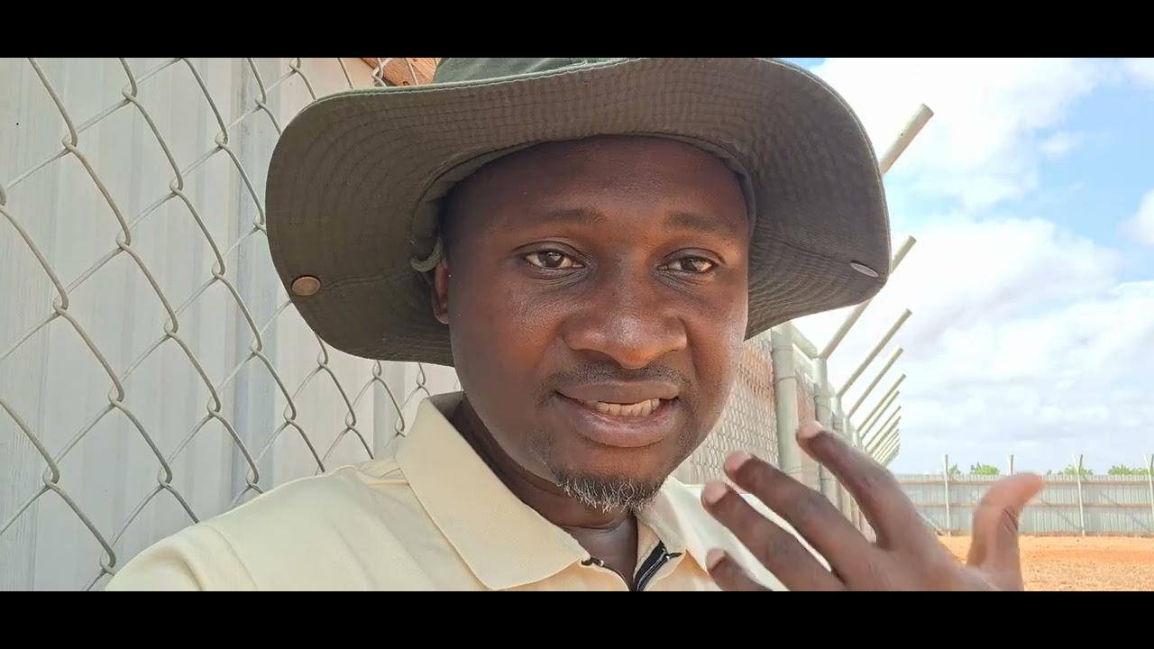Don't start a chicken farm before watching this!!! 