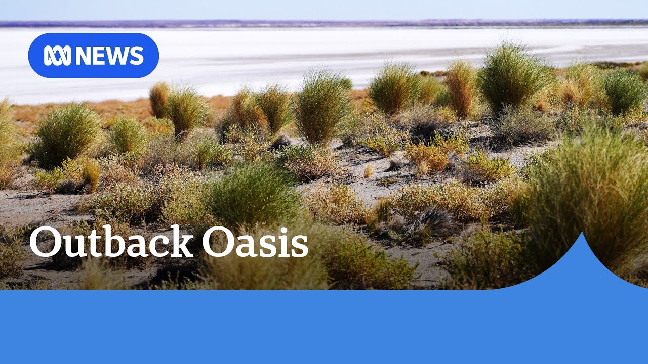 At Kati Thanda-Lake Eyre, an ‘inland tsunami’ is making a sea | ABC NEWS