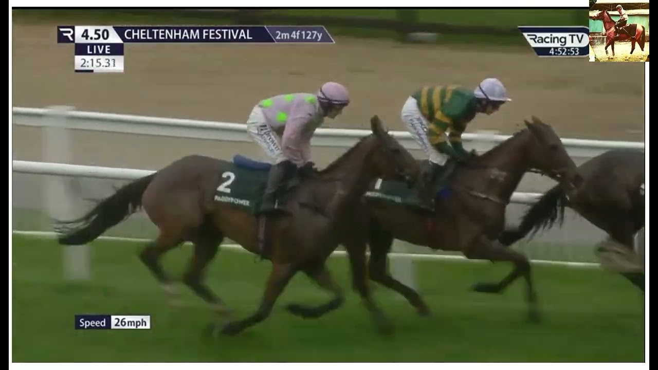 Race (6)