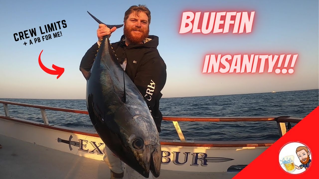 INSANE Bluefin Tuna LIMITS Aboard the Excalibur - San Diego Fishing