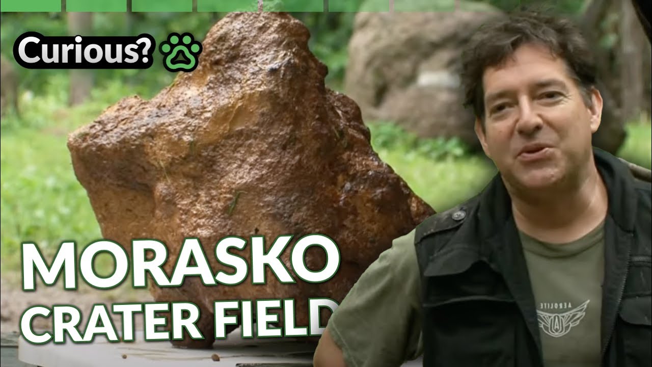 Meteorite Hunt in Poland! | Meteorite Men | Curious?: Natural World