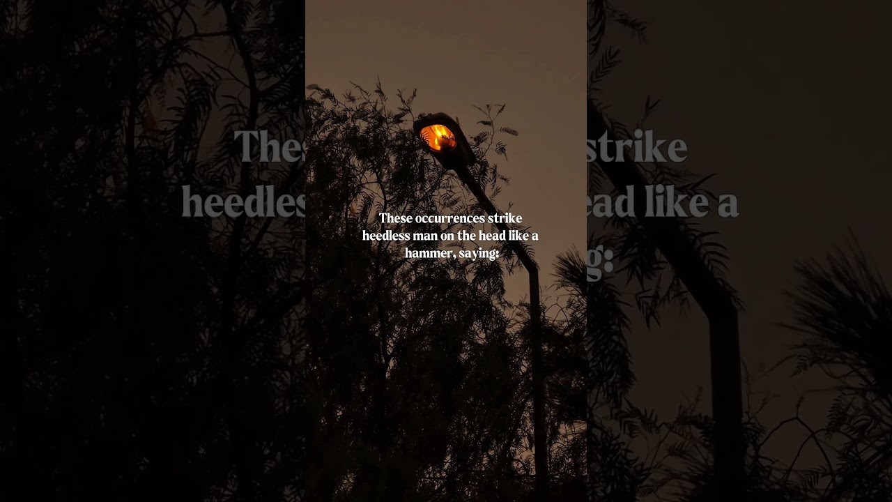 wake up from sleep #quranrecitation #motivation #quran #thinking #wakeup #time #world #truth