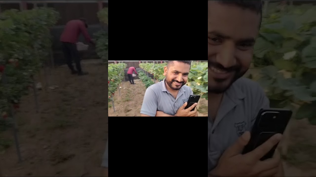 ###Kuwait wafar me kheti isatberi login video ####