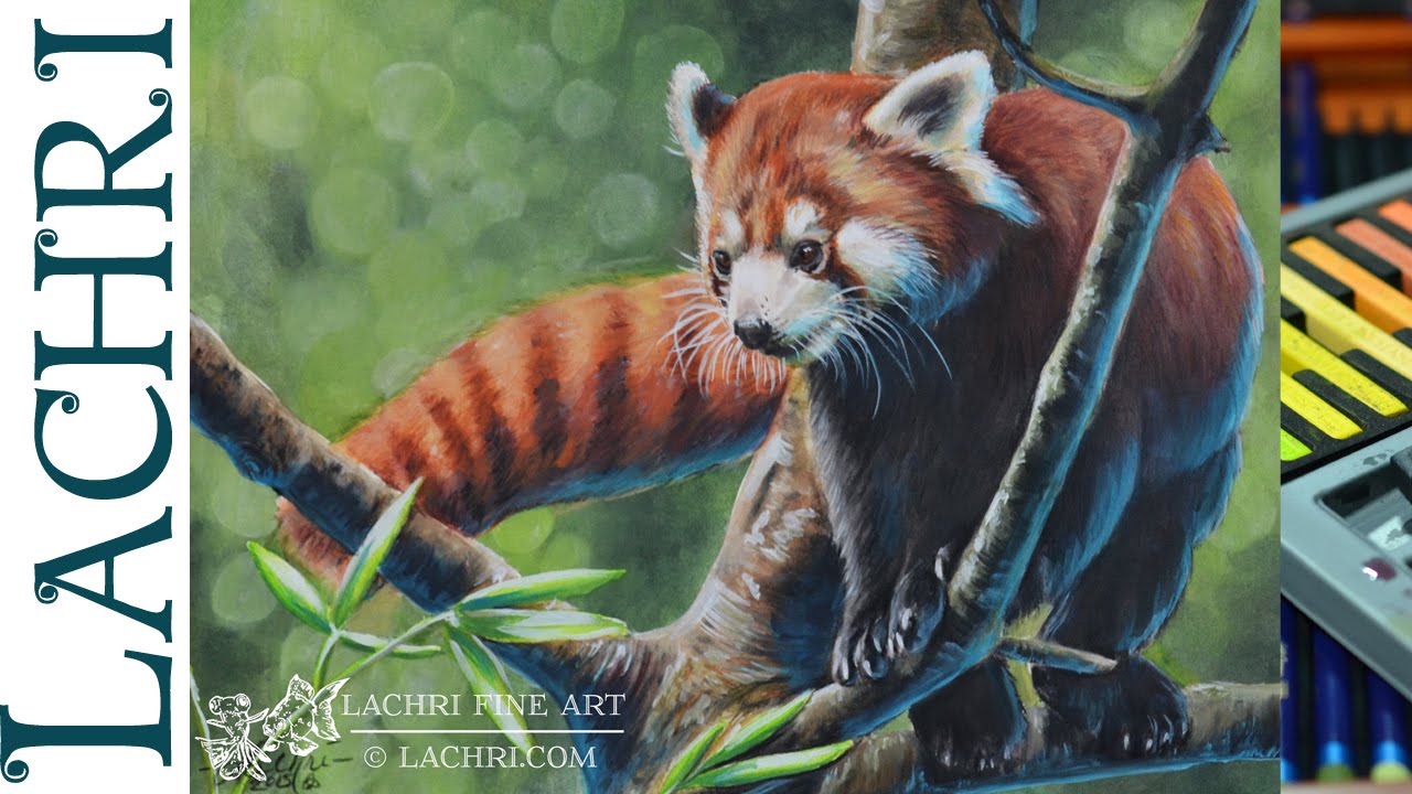 Inktense painting demonstration - Red Panda - w/ Lachri