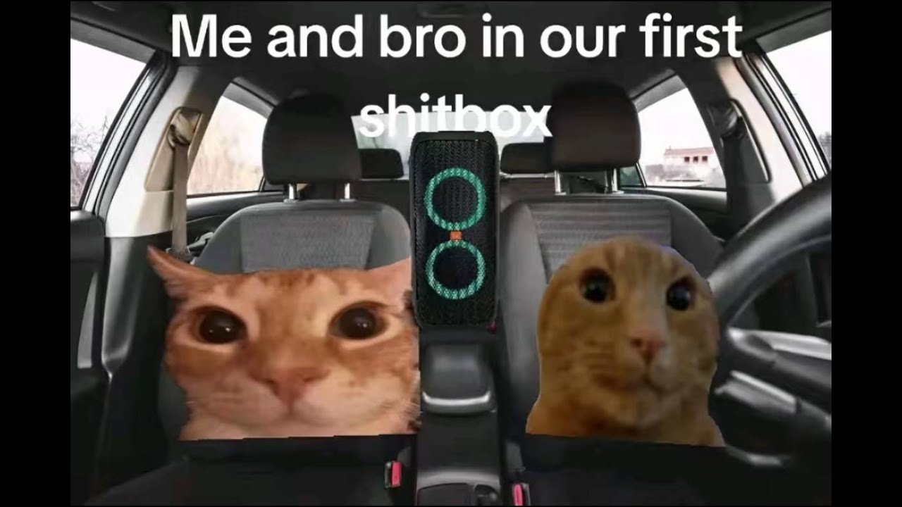 Uno Dos Tres N (Bass Boosted) [TikTok Version]