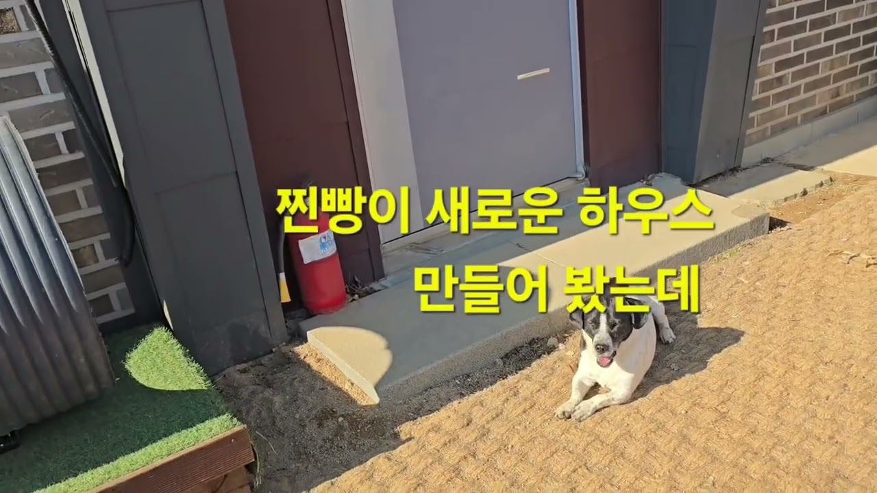 거적대기 치우고 따로 하우스를 