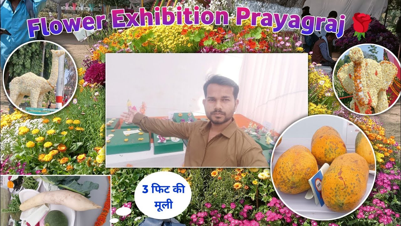 Flower Exhibition Prayagraj 🌹 | प्रयागराज में लगा फूल प्रदर्शनी | Flower and Vegetable Exhibition 