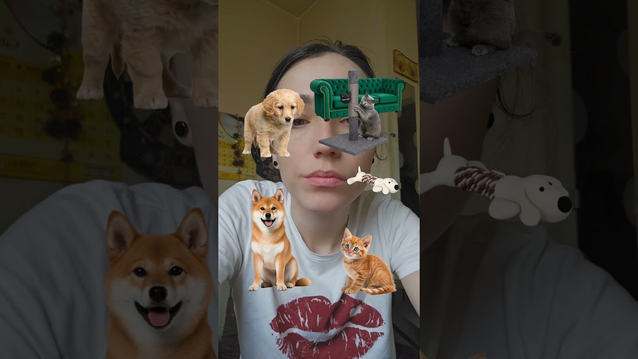 meow #filterchallenge #pets