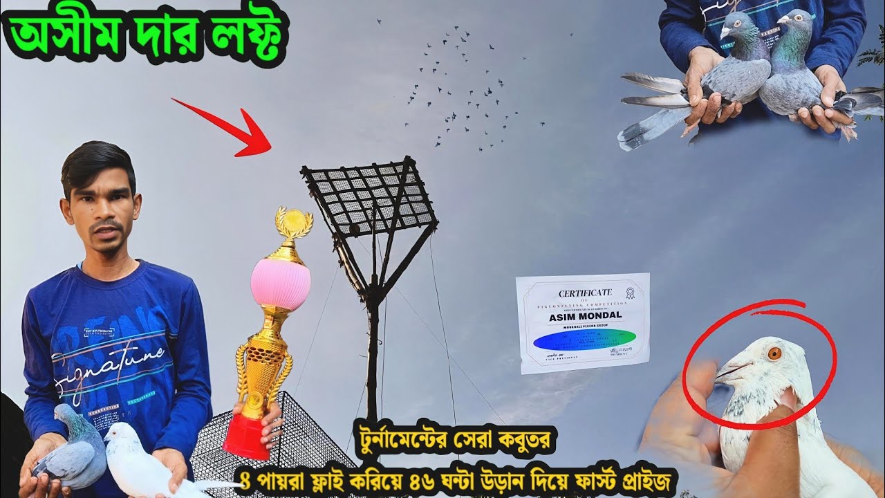 অসীম দার লফ্ট | টুর্নামেন্টের সেরা কবুতর৪ পায়রা ফ্লাই করিয়ে ৪৬ ঘন্টা উড়ান দিয়ে ফাস্ট প্রাইজ
