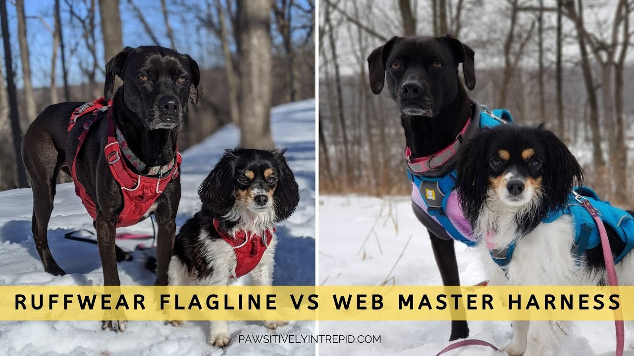 Ruffwear Webmaster vs. Flagline Harness