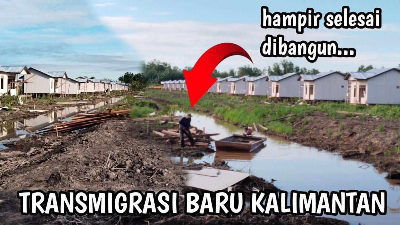INILAH PENAMPAKAN RUMAH CALON TRANSMIGRAN BARU, 2026,KALIMANTAN HAMPIR SELESAI DI BANGUN