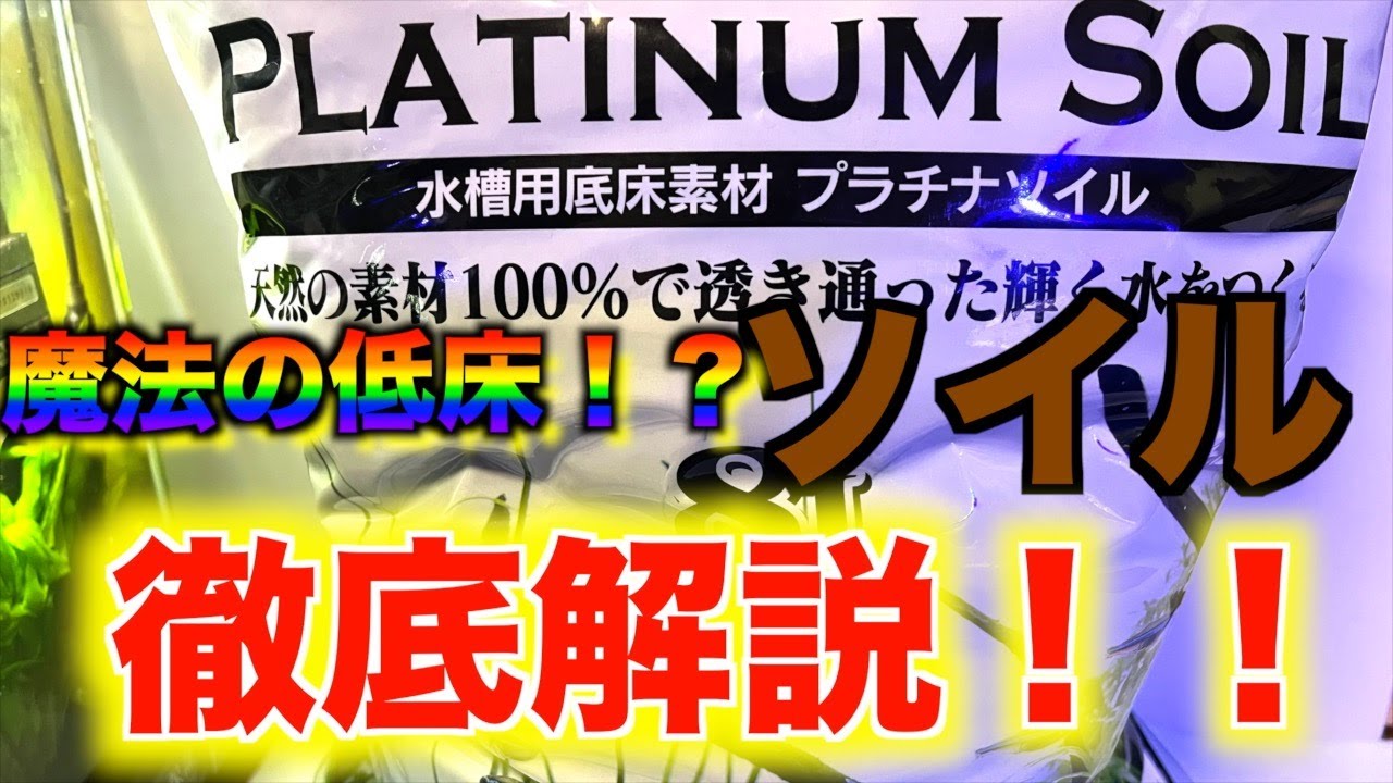 【魔法の低床！？】ソイルとは何！？メリットデメリットや種類など徹底解説！