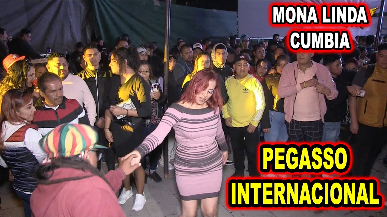 *** UNA MONALINDA, PEGASSO INTERNACIONAL ***