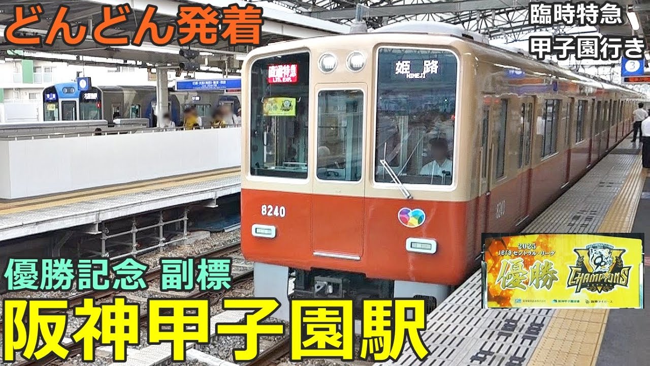 阪神甲子園駅 3🚃どんどん電車が発着！●タイガース優勝記念副標、臨時特急／赤胴車、直通特急、特急、快速急行 等／夕方ラッシュ 阪神本線（山陽・近鉄乗り入れ）