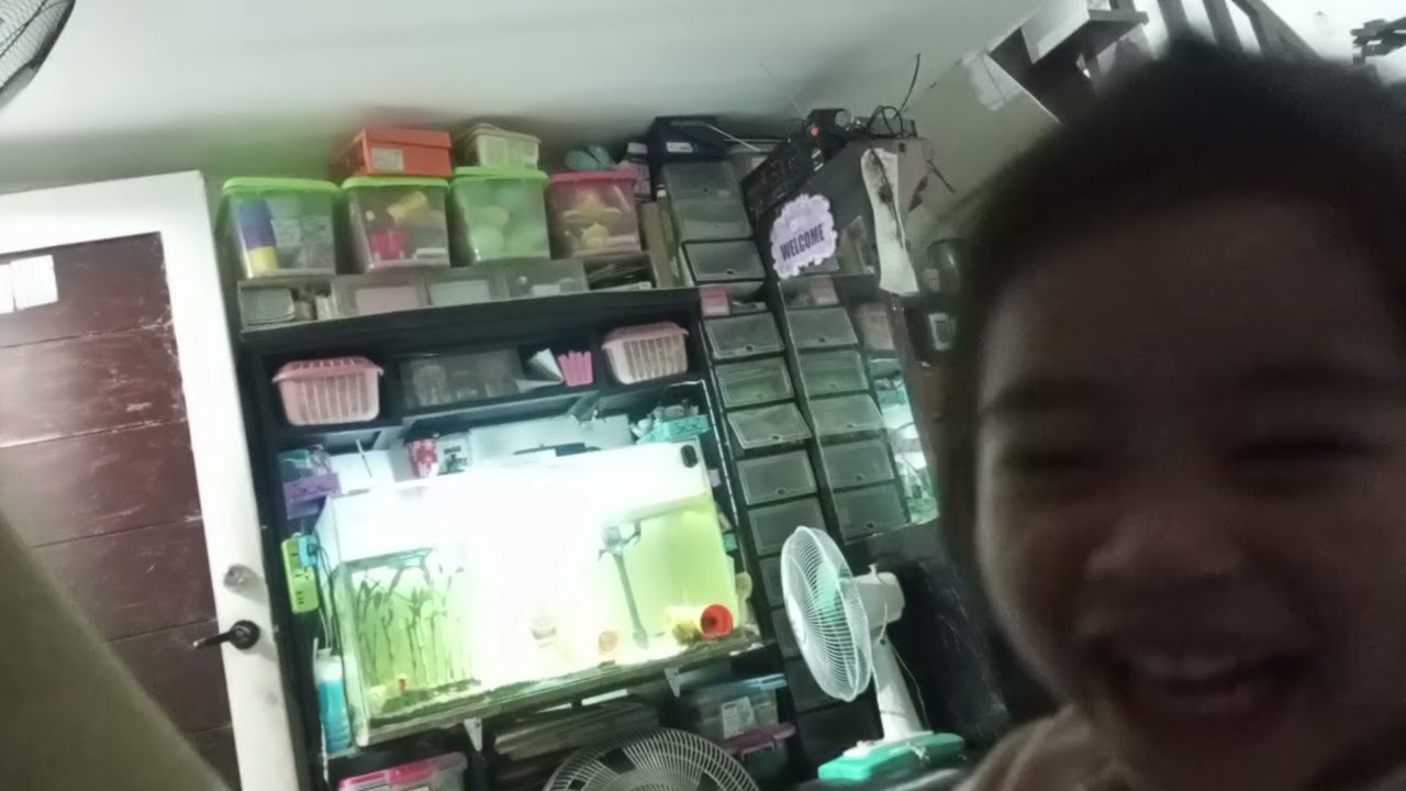 Hahahappy birthday