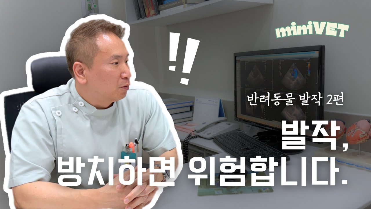 반려동물 발작(2편) - 보호자가 해야 할 일과 하지 말아야 할 일