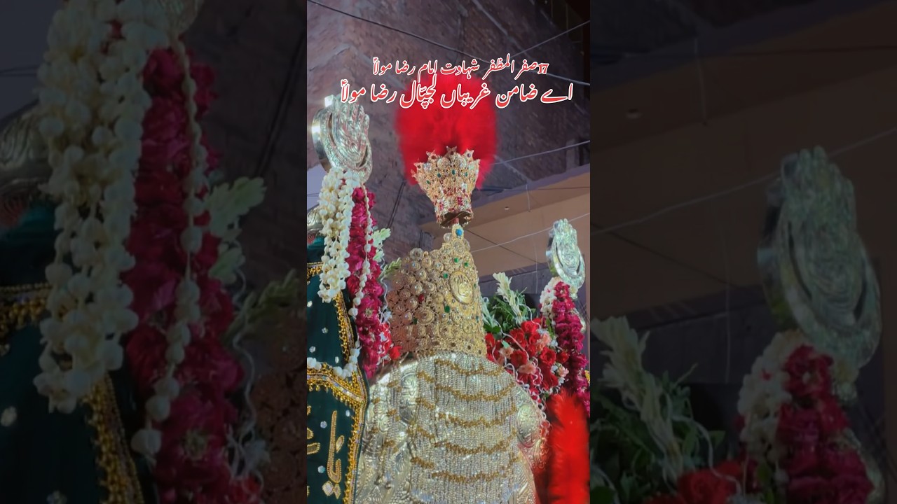 Taboot imam razaع #imamraza #17safar #jaffriacolony