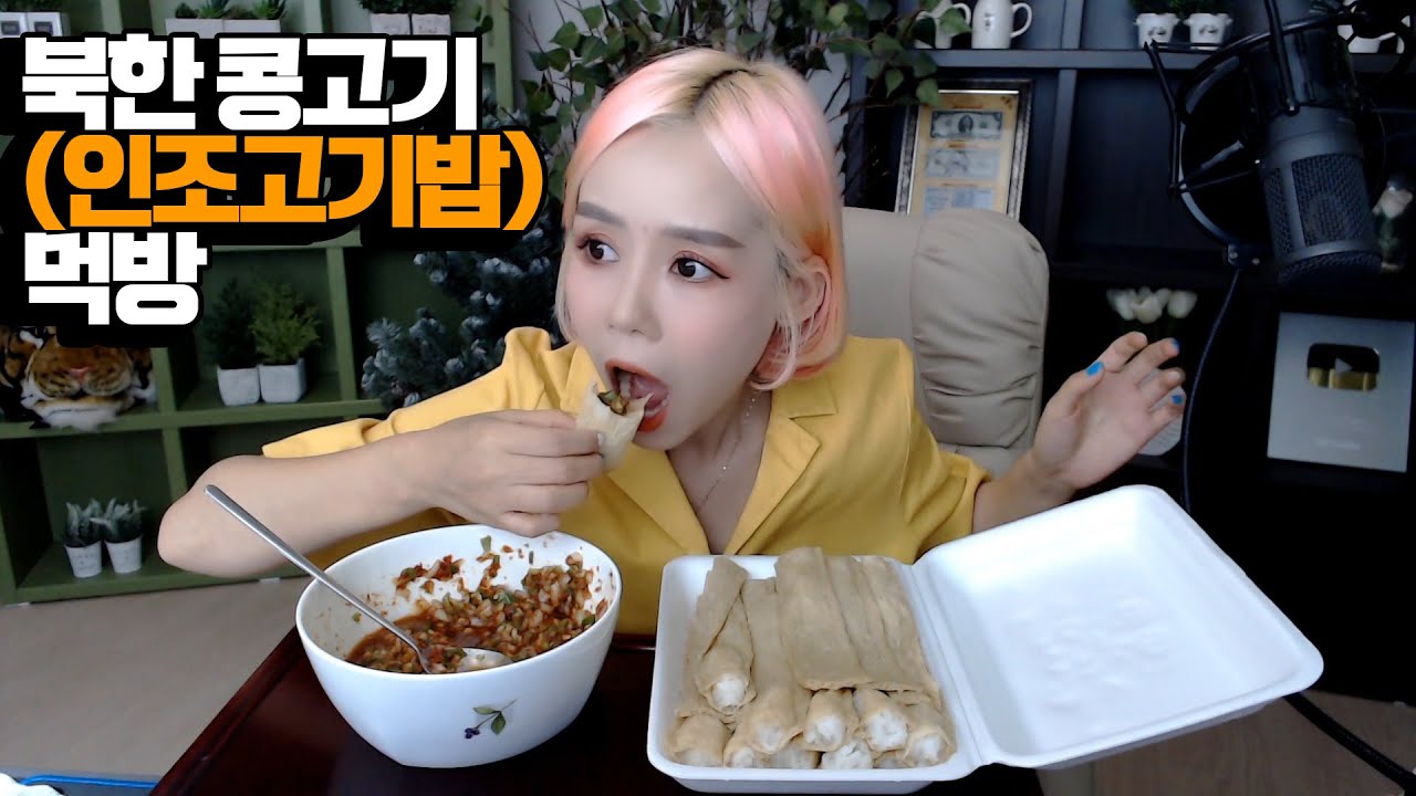 북한 인조고기밥 20개 먹방 오늘따라 진짜 맛있네!