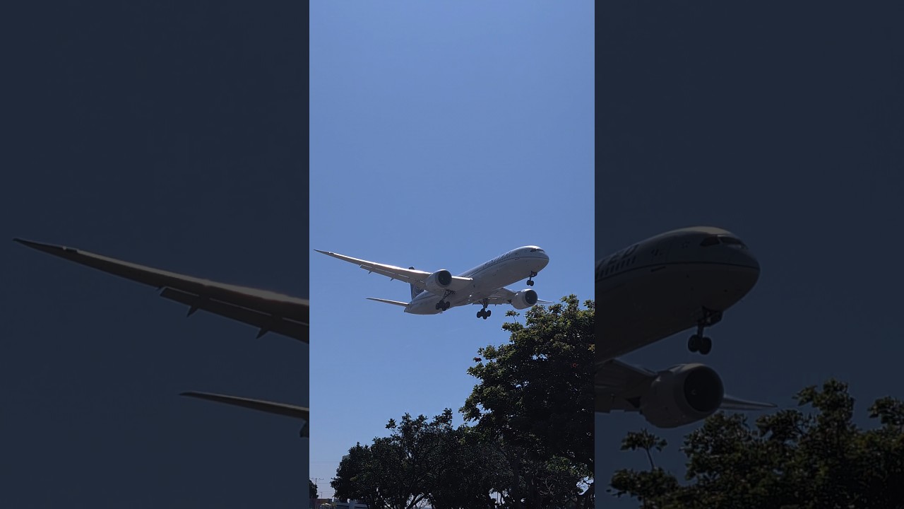 planespotting LAX Boeing 787-9 Dreamliner - United Airlines N13954. #aviation #b787 #boeing #lax