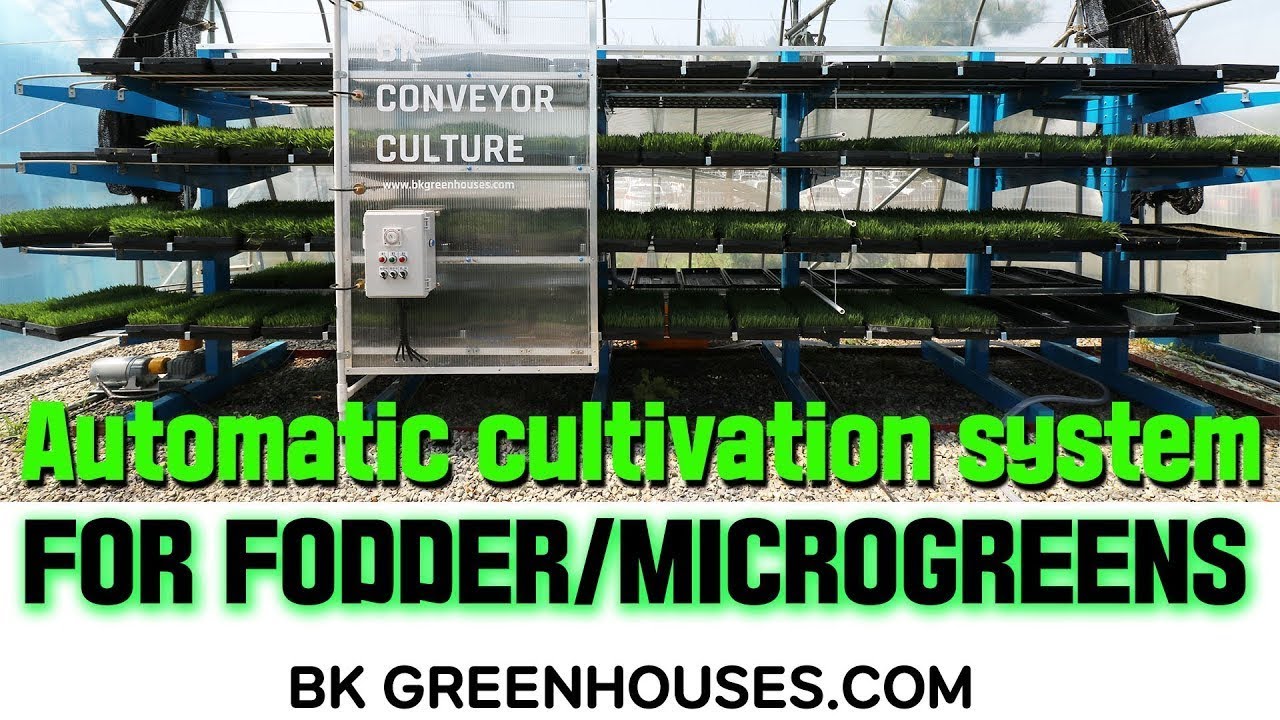 Microgreens and fodder vertical growing system-BK  Conveyor Culture