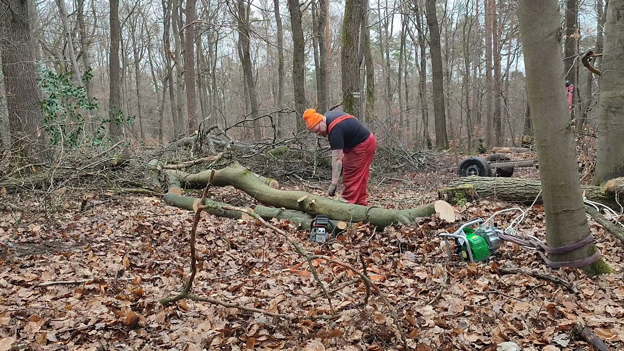 Brennholz mit Spillwinde Eder 1200 & Husqvarna 445