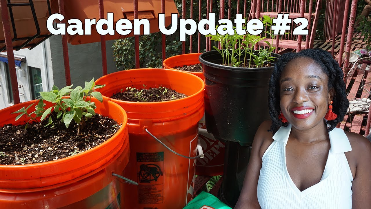 We're Growing!!! | Fire Escape Garden Update #2