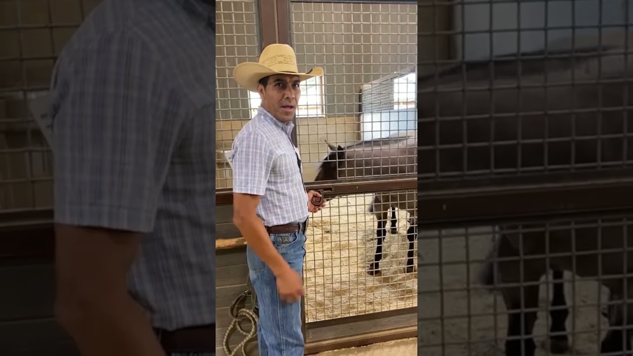 visitando el rancho de Adan Bañuelos Granbury Texas 197 023