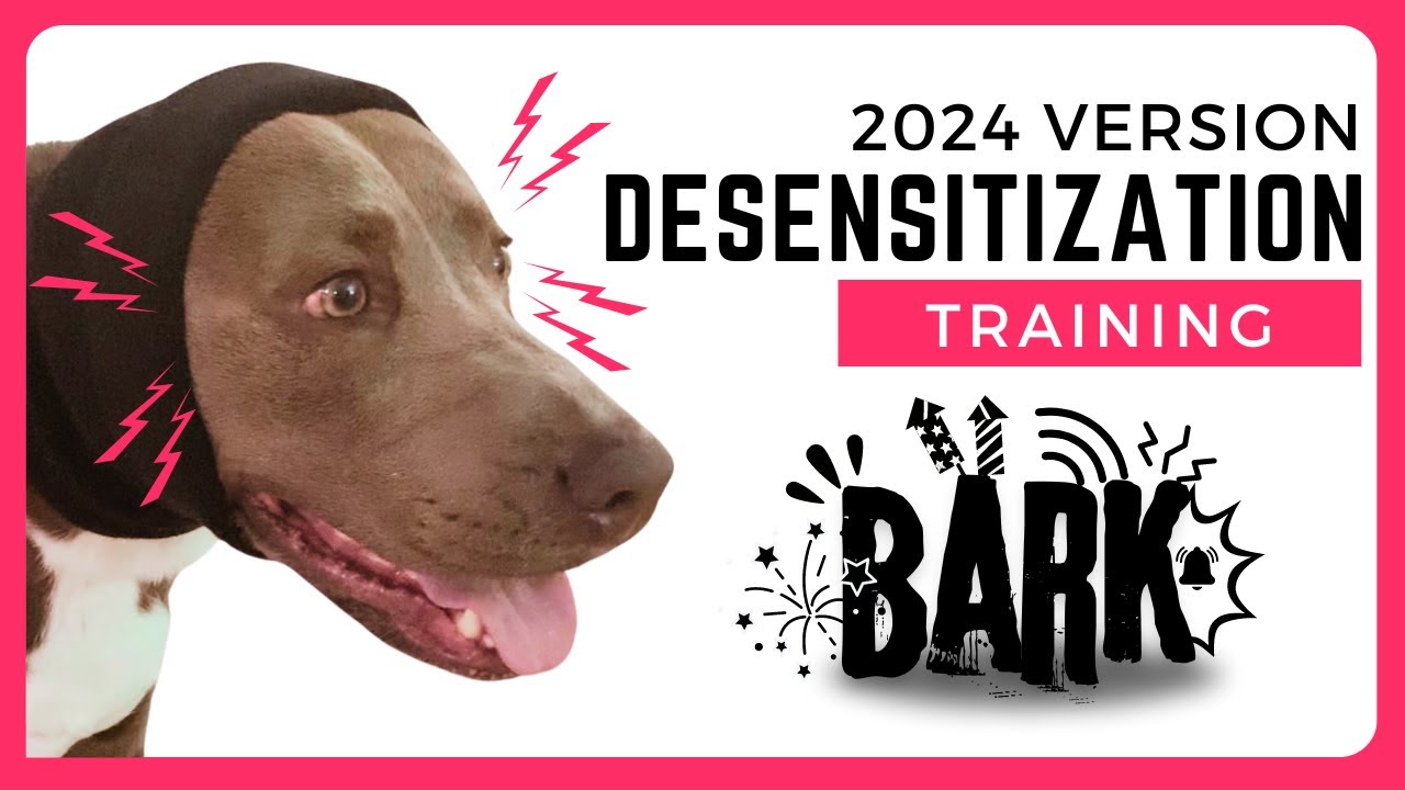 📣 Sound Training for Dogs | Fireworks and Bark Training Dog Exposure | Reactive Dogs