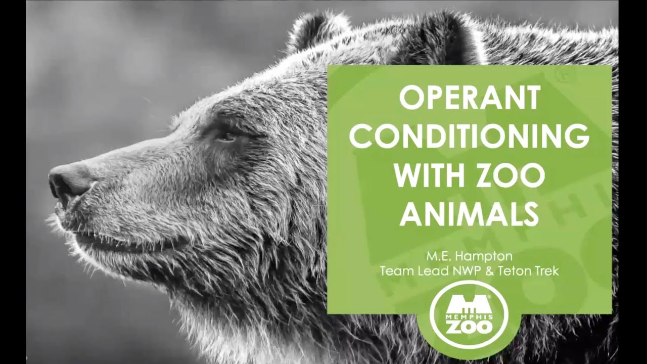 Webinar: Operant Conditioning with Zoo Animals
