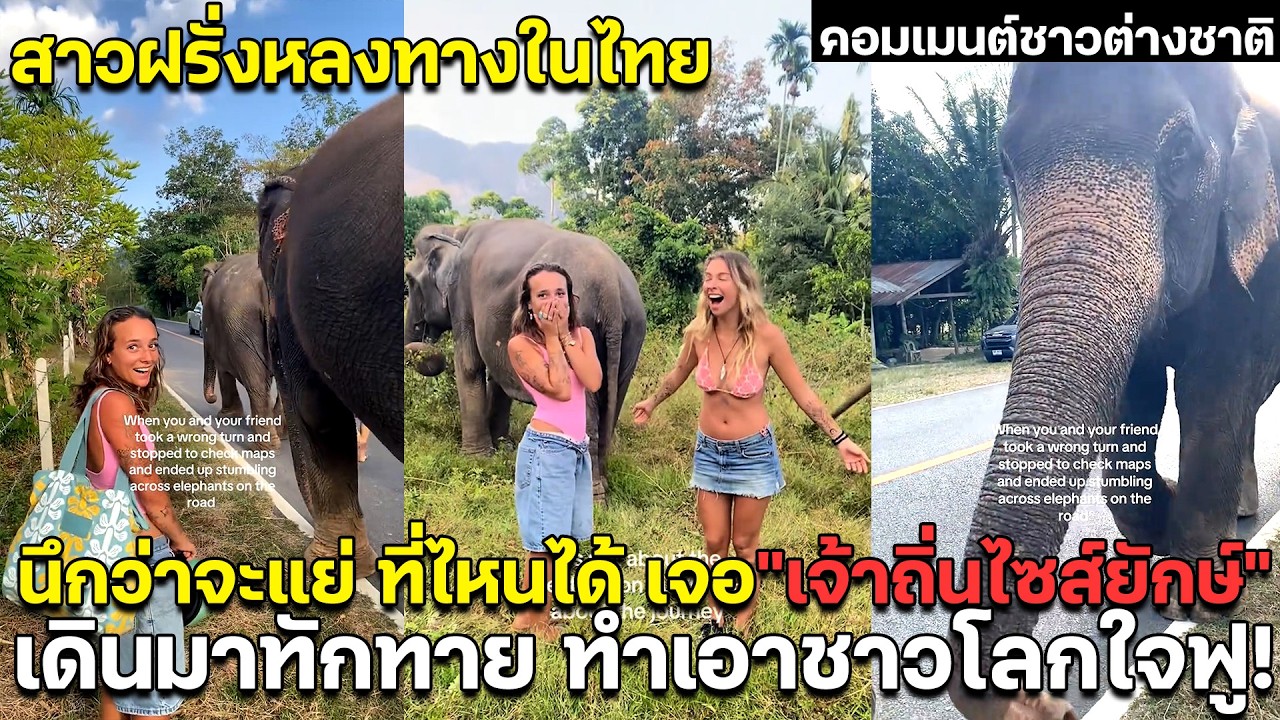 สาวฝรั่งหลงทางในไทย นึกว่าจะแย่ ที่ไหนได้เจอ