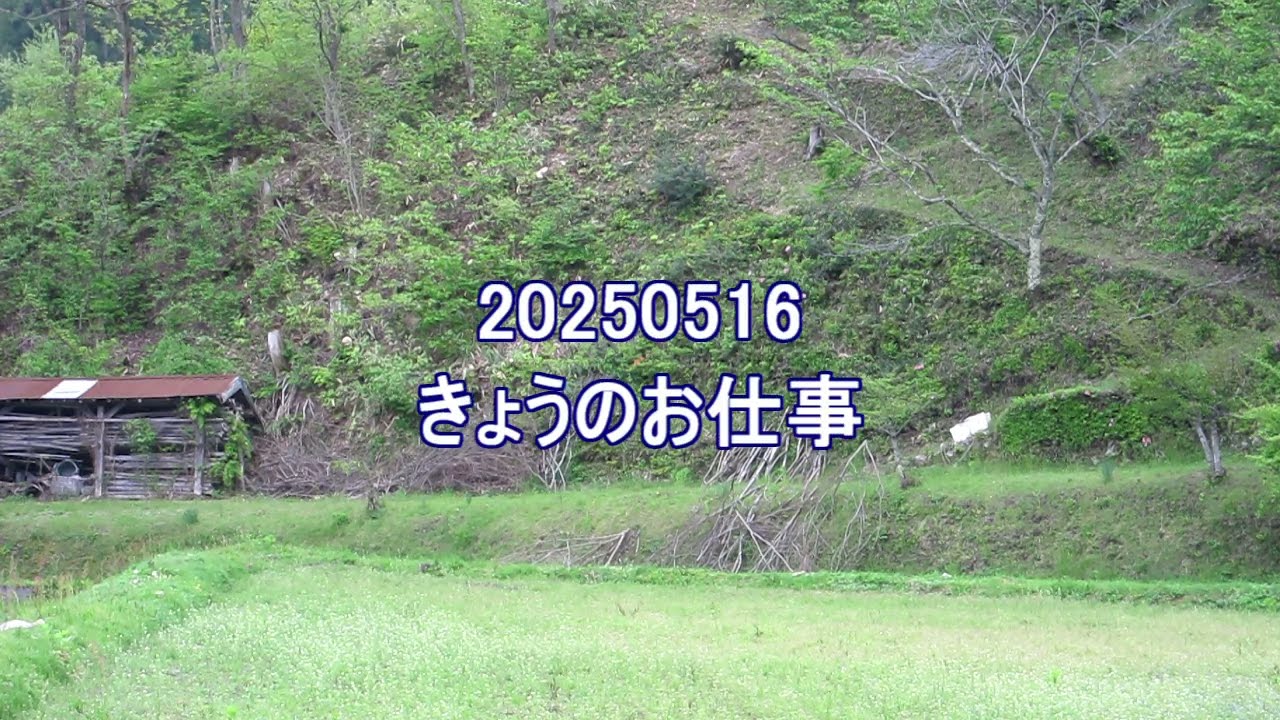 20250516　きょうのお仕事