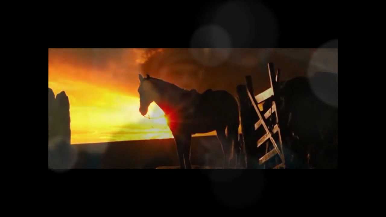 War Horse