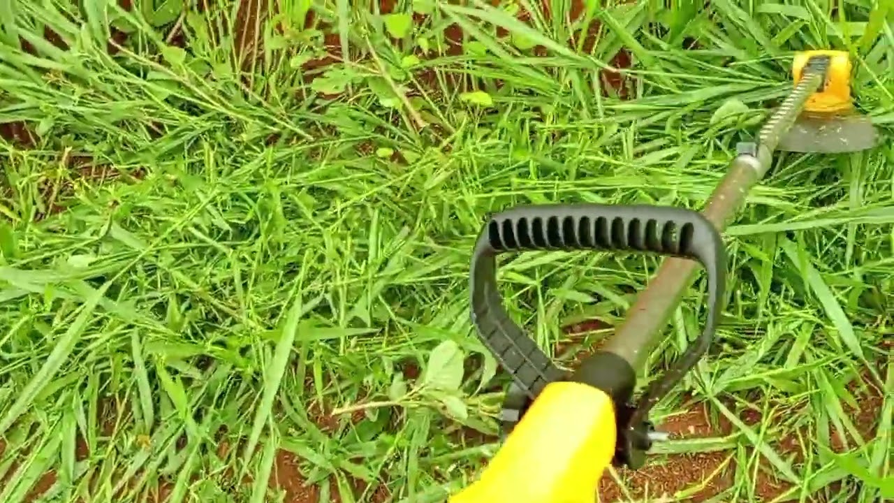 Testando a roçadeira elétrica/ mato alto 
