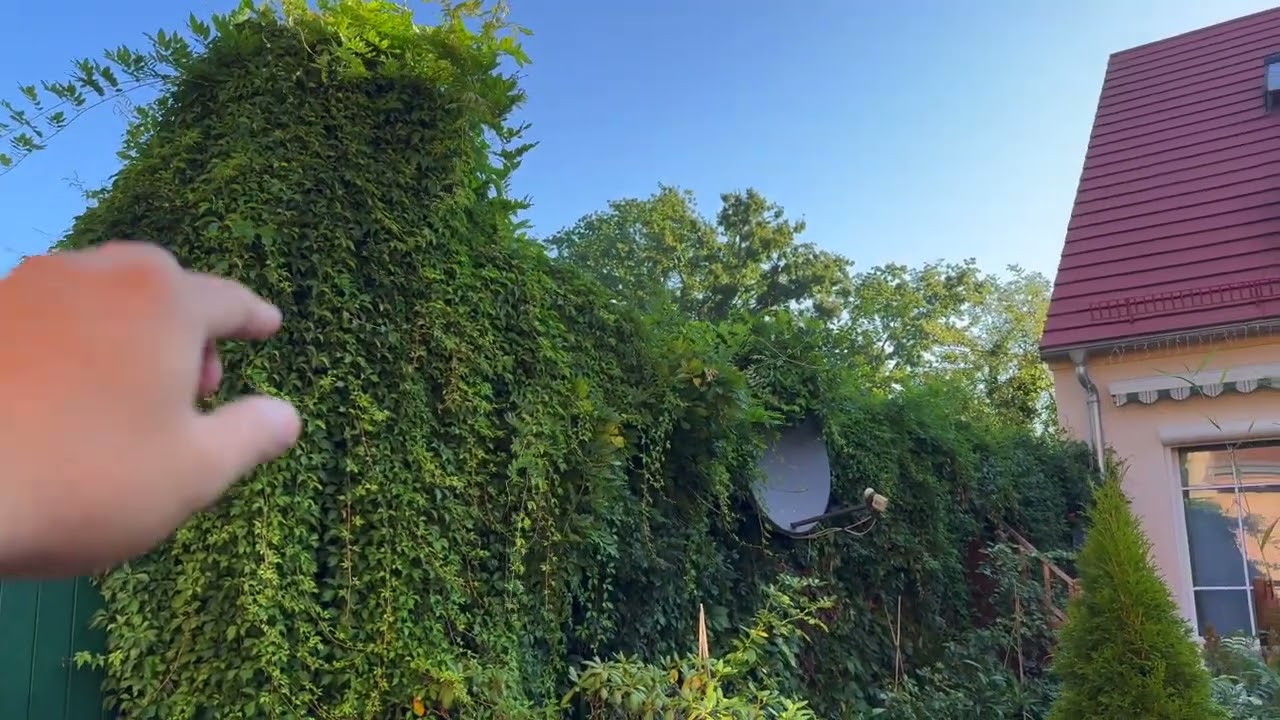 属于我个人的第一支影片。介绍我太太和我的房前与房后的花园。算是搬家两年多来对于花园的一份热情，也是对于岁月的一份记录。