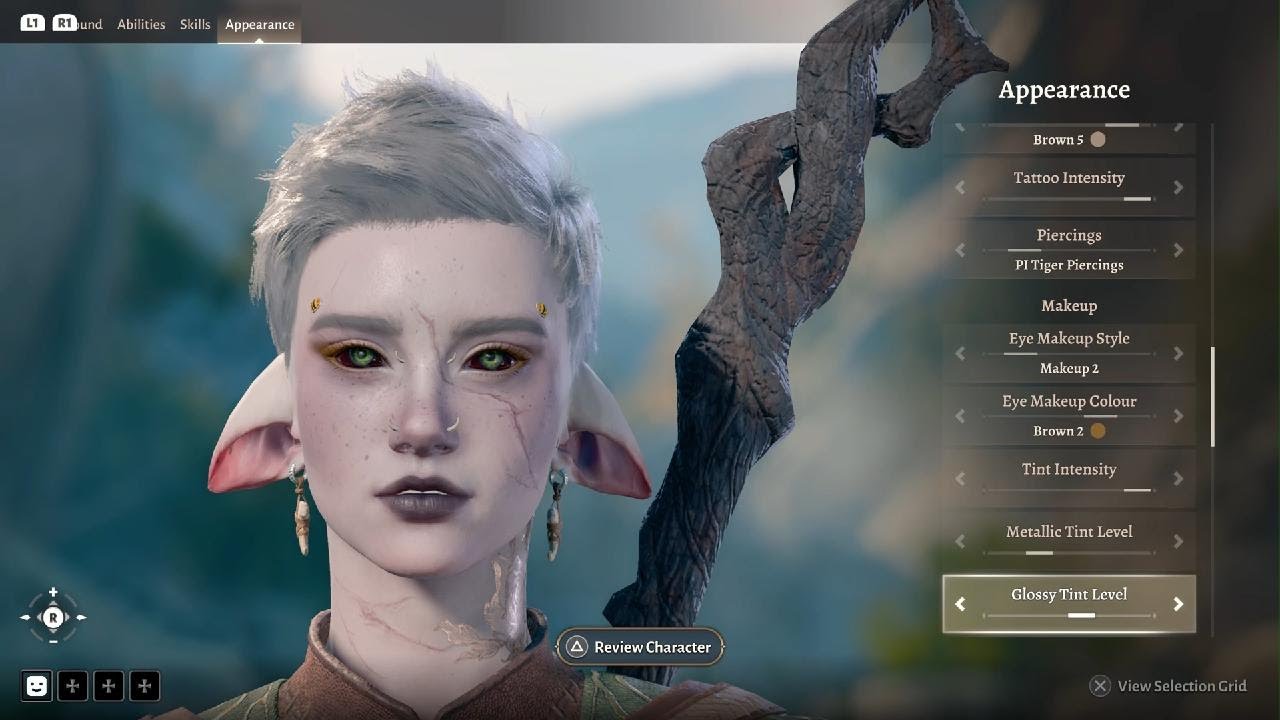 Baldur's Gate 3 making a tav