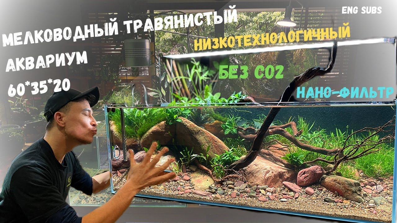 МЕЛКОВОДНЫЙ ТРАВЯНИСТЫЙ АКВАРИУМ | SHALLOW GRASS AQUARIUM