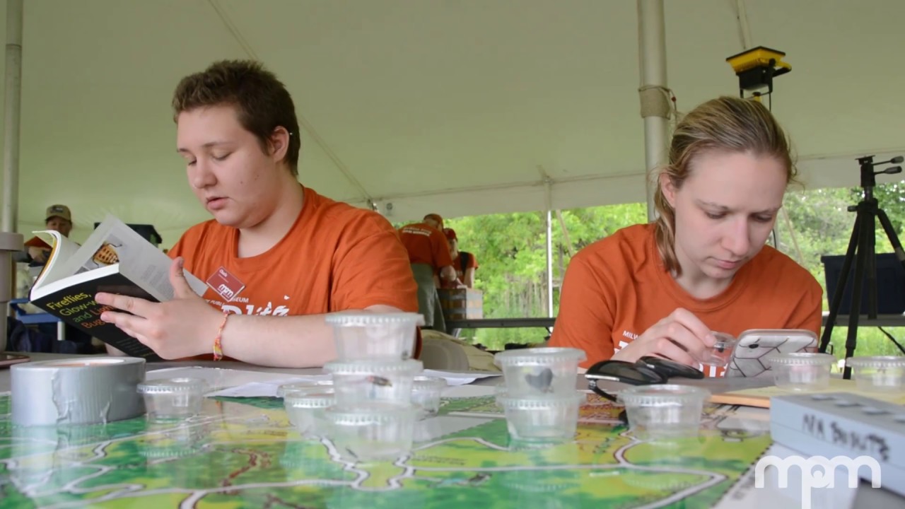 MPM's 5th Annual BioBlitz