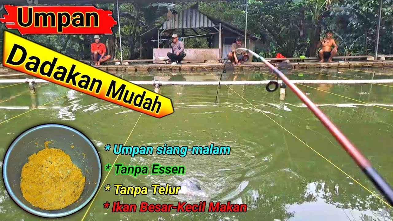 &deg;GAMPANG BGT❗️Umpan ikan mas dadakan yang mudah dibuat dan murah meriah