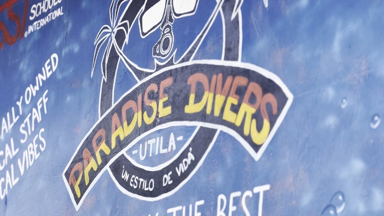 PARADISE DIVERS PROMOTIONAL VIDEO /Partnership/