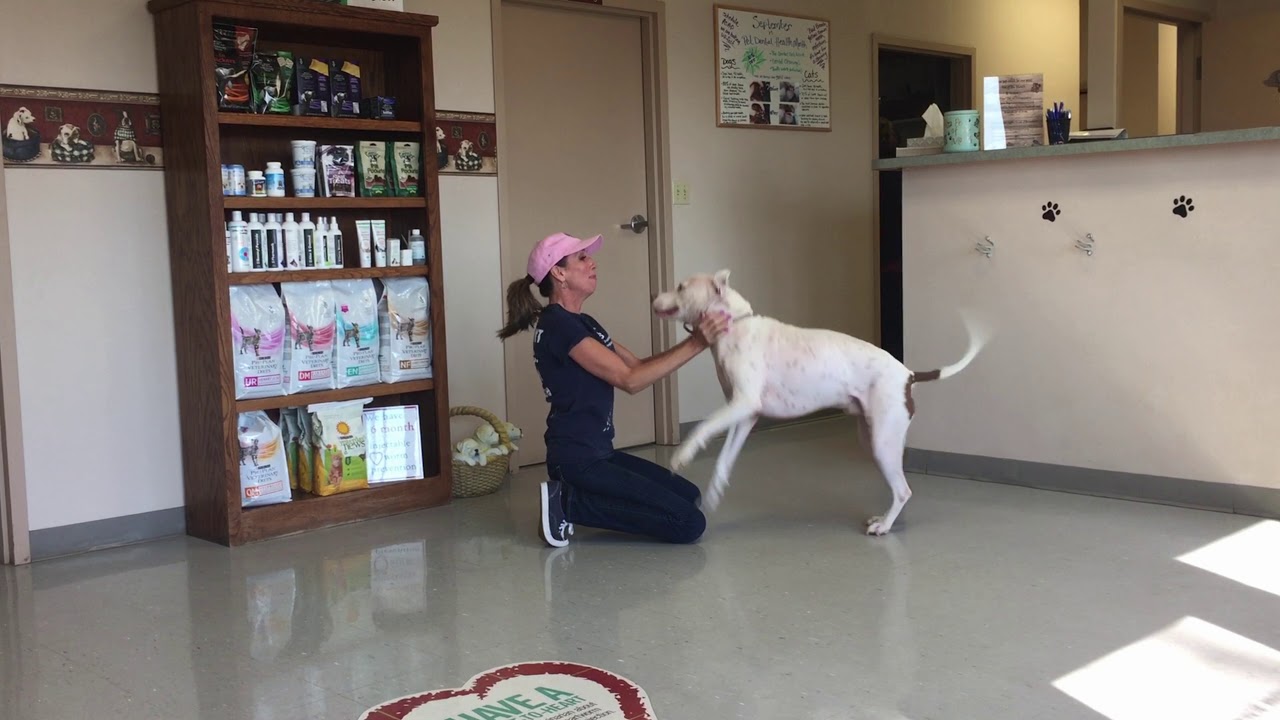 A Very Special Hurricane Harvey Reunion