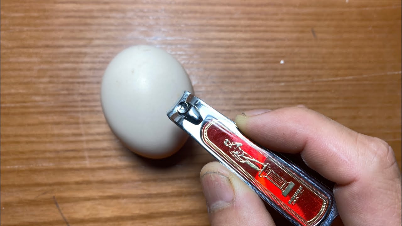 RAW EGG PEELING LIVE