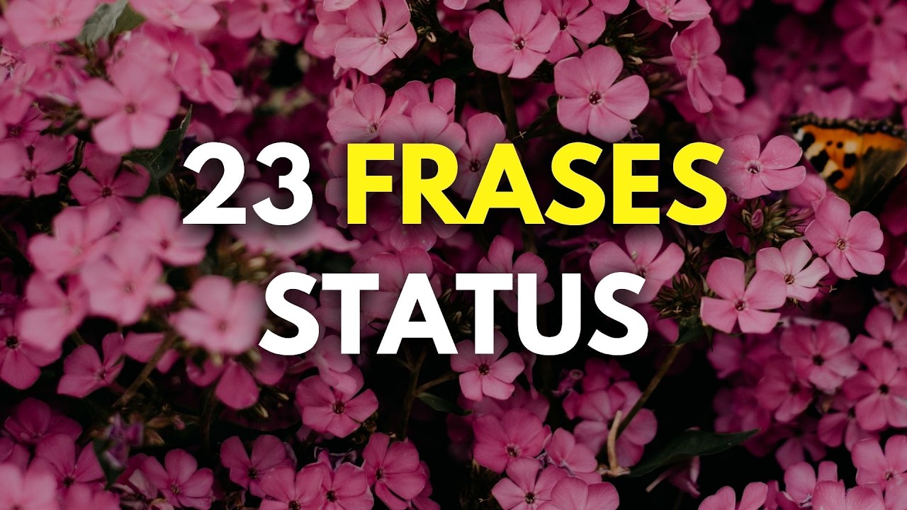 23 FRASES CURTAS PARA STATUS – REFLEXIVAS E MOTIVACIONAIS