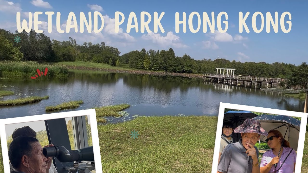 Wetland park 17/10/25#nature 