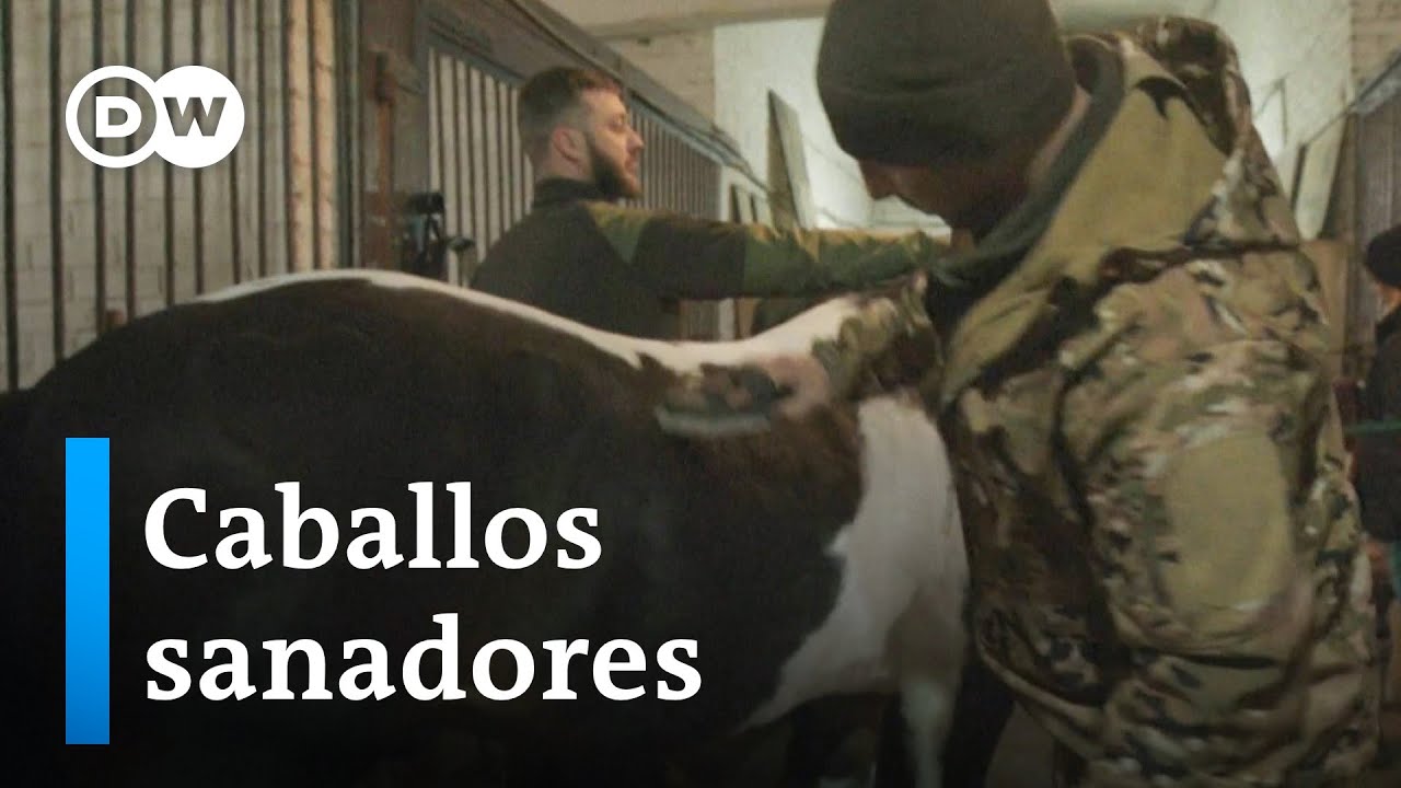Equinoterapia para soldados ucranianos con estrés postraumático